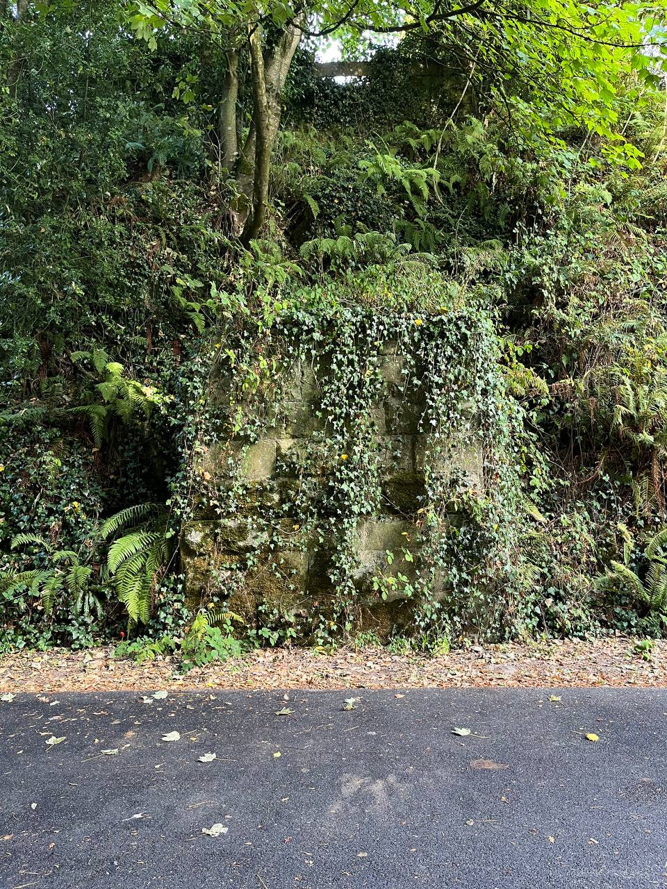A stone structure overgrown with moss, ivy, and fern
